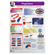 Magnetism poster showing magnetic fields poles and types of magnets