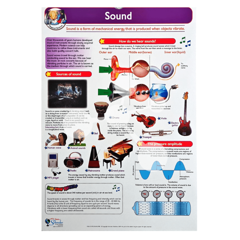 Sound poster showing sound waves vibration ear structure and musical instruments