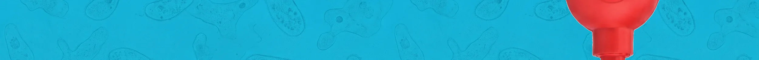 Pipette Filler Bulbs banner