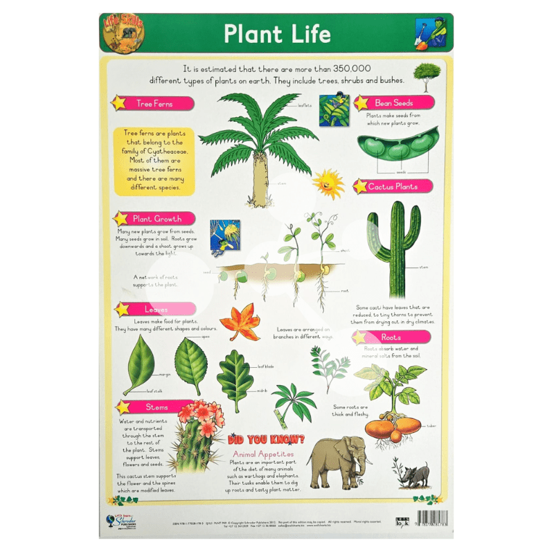 Plant Life Wall Chart