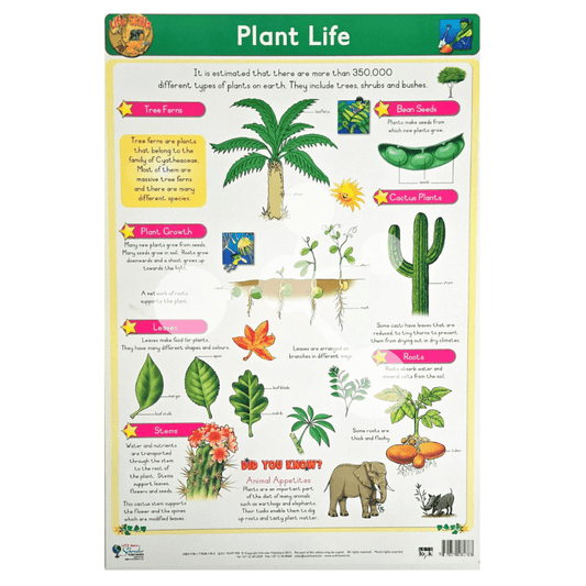Plant Life Wall Chart