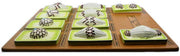Plant Mitosis Model - Three - Dimensional - Mounted