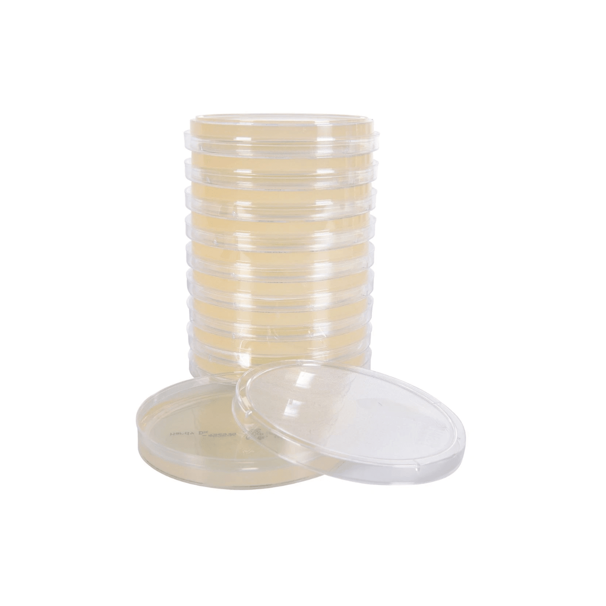 Potato Dextrose Agar - Pk 10