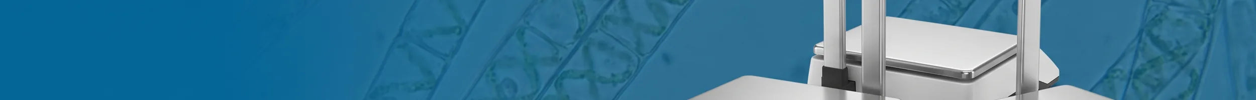 Retail Scales banner