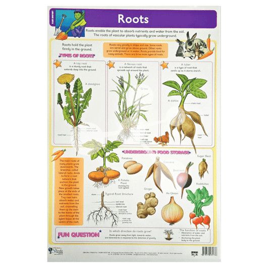 Roots Wall Chart