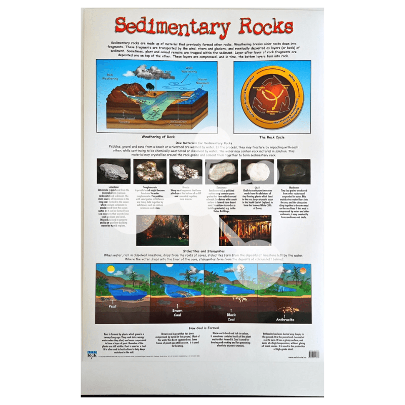 Sedimentary Rocks Wall Chart