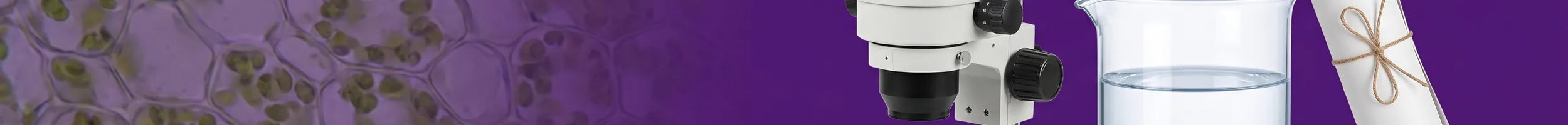 Shop by Subject banner