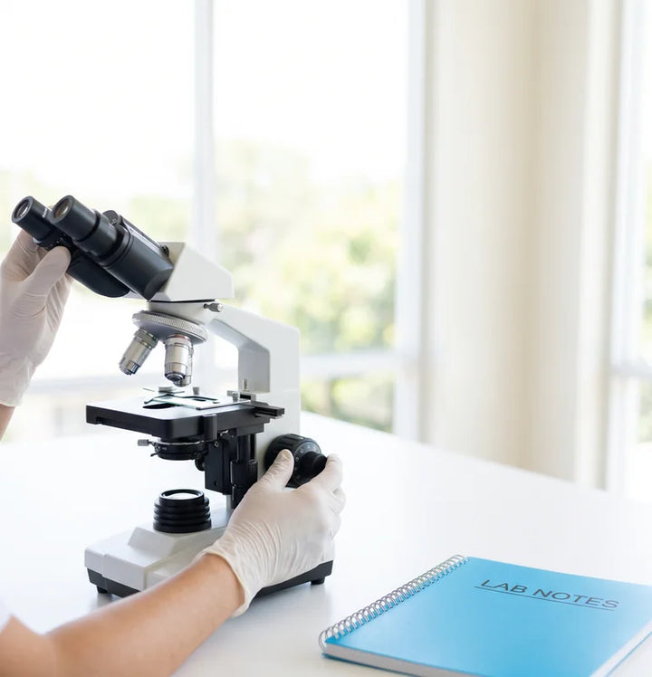 Student adjusting a binocular microscope beside a blue lab notebook