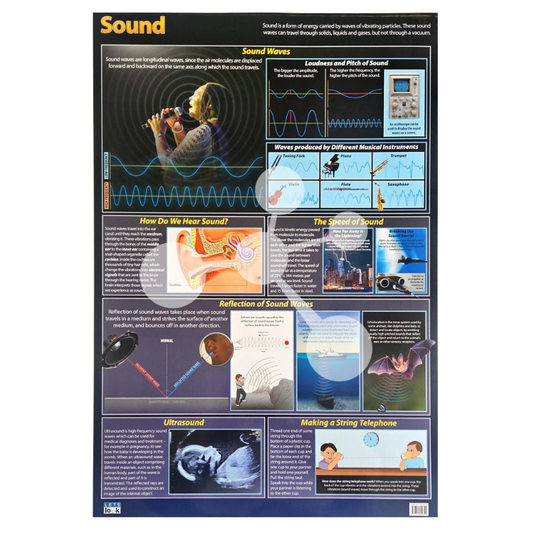 Sound Wall Chart