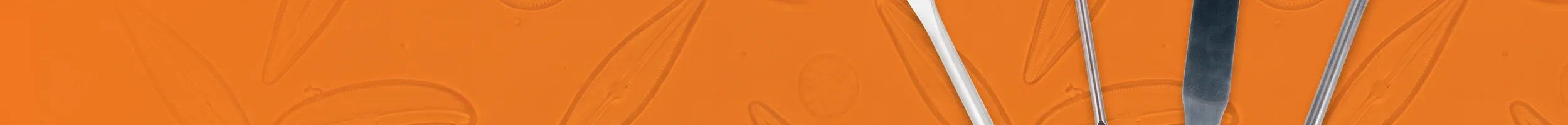 Lab Spatulas Scoops and Spoons collection banner