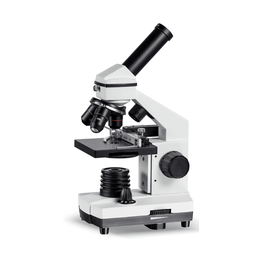 Monocular student microscope with 360 degree rotating head, three objectives and mechanical stage with vernier scales