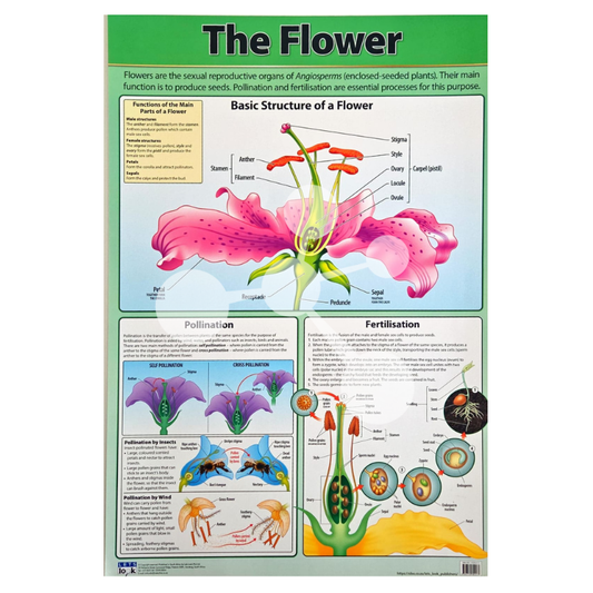 The Flower Wall Chart