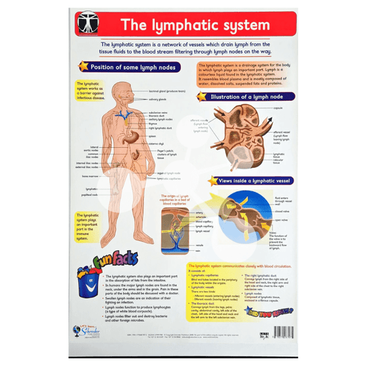 The Lymphatic System Wall Chart