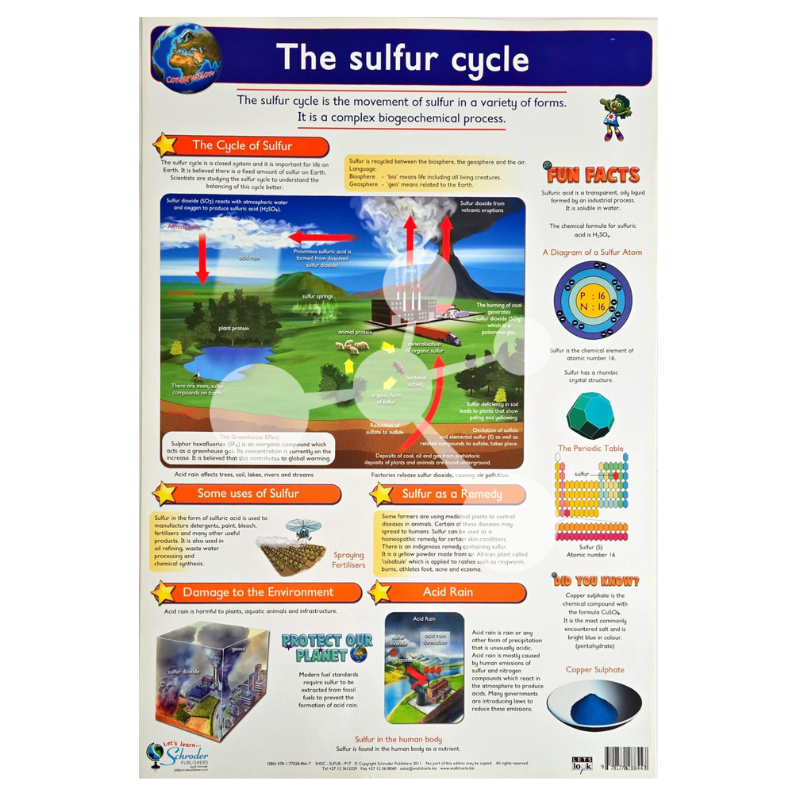 The Sulfur Cycle Wall Chart
