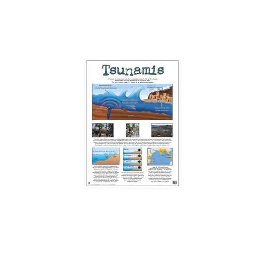 Tsunamis - Wall Chart