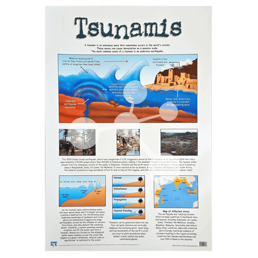 Tsunamis Wall Chart
