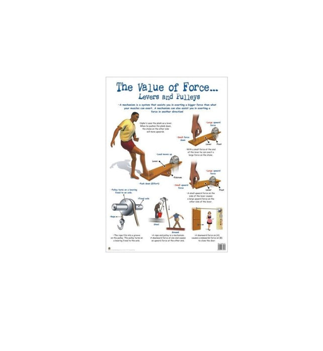 Value of Force - Wall Chart