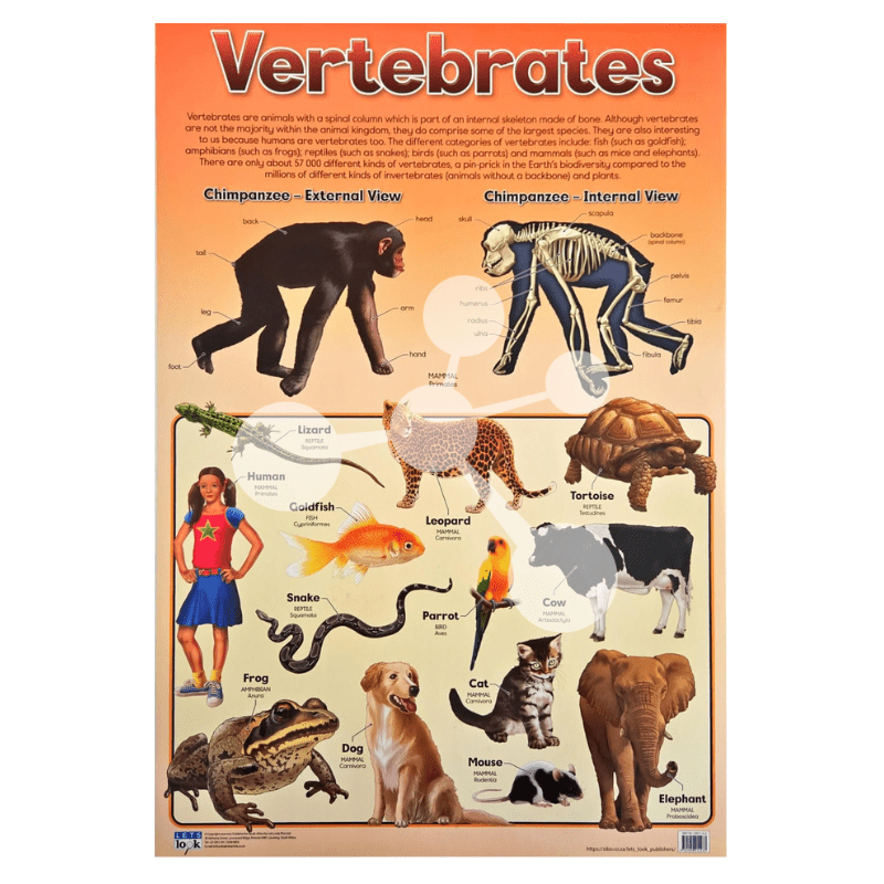 Vertebrates Wall Chart