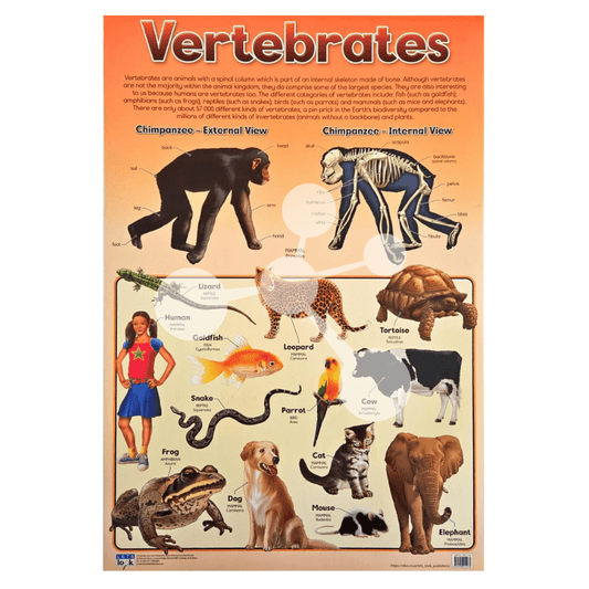 Vertebrates Wall Chart