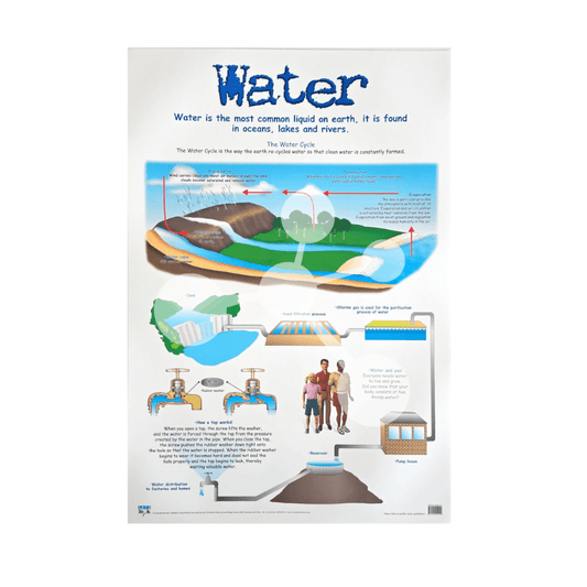 Water wall chart showing the water cycle purification process and water distribution system