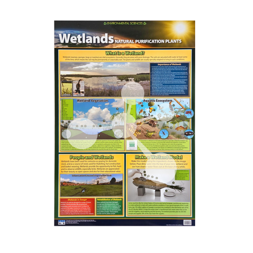 Wetlands Natural Purification Plants Wall Chart
