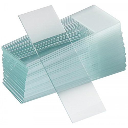 Microscope Slide, Single Frosted
