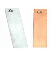 Electrode Strip