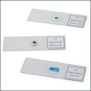 Human Histology slide set of 25