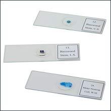 Human Histology slide set of 25