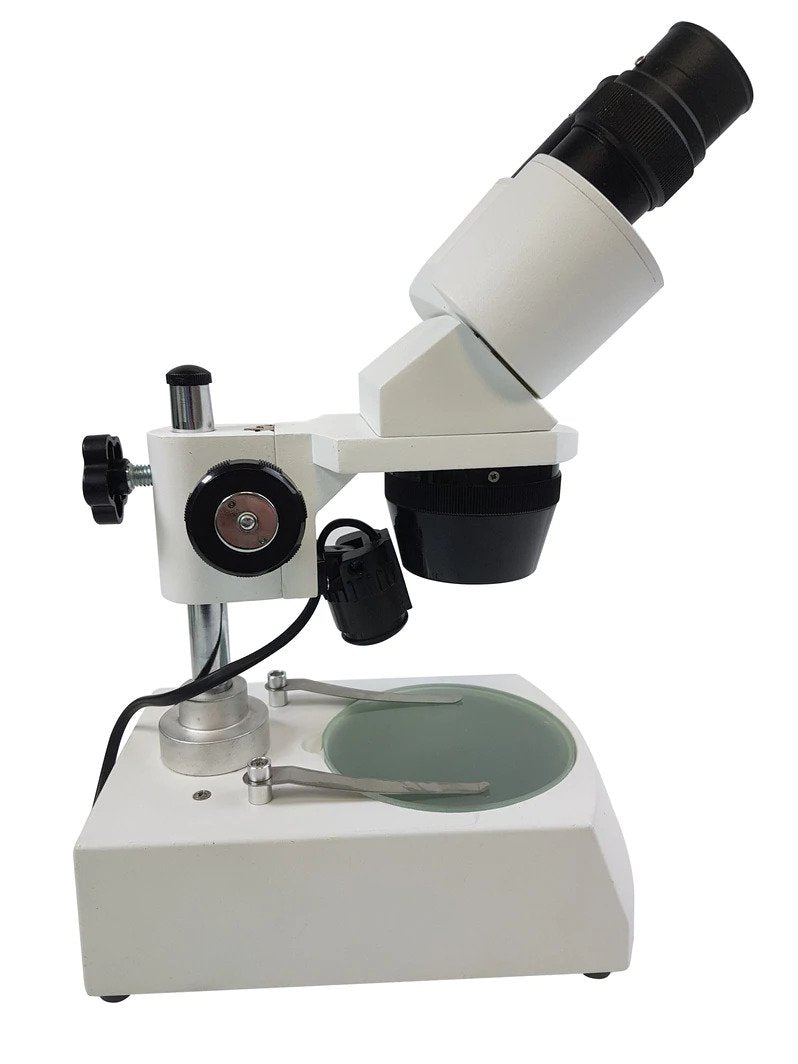Microscope, Stereo Binocular 10 - 40x, LED