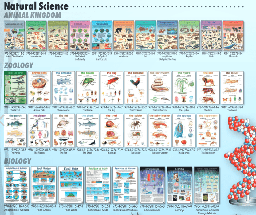 Animal classification - Wall Chart - SmartLabs